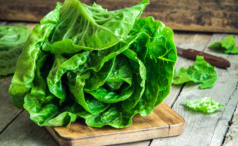 Alface: 5 benefícios do vegetal que é baixo em calorias e rico em nutrientes