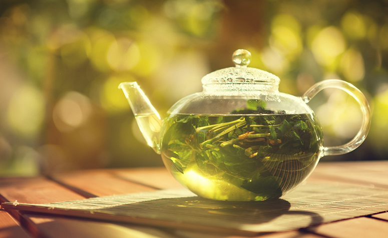 Chá de boldo faz bem para o fígado? Descubra os benefícios