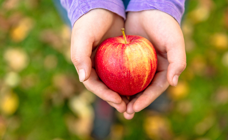 Maçã: conheça os benefícios dessa fruta que faz bem para o coração