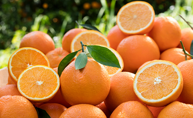 Benefícios da laranja: 9 poderes dessa popular fruta