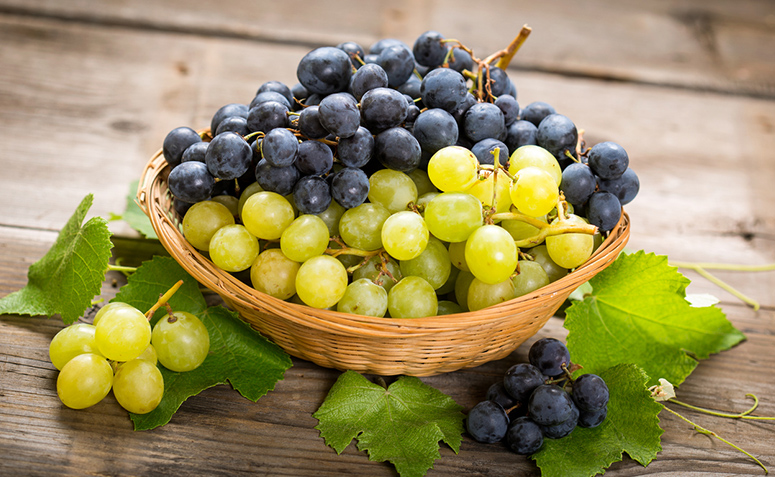 Benefícios da uva: 10 motivos para comer essa fruta que é pura saúde