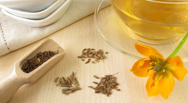 Chá de erva-doce: mais do que um simples calmante natural
