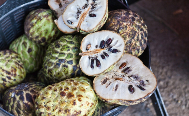 Graviola: conheça 6 benefícios dessa fruta tropical saborosa